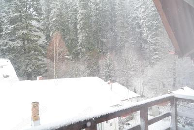 Apartament cu trei camere-Busteni - 2