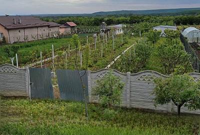 Teren de 2300 mp, în Brădești - 2