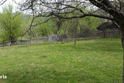Teren de 1600 mp, în Șugag - 7