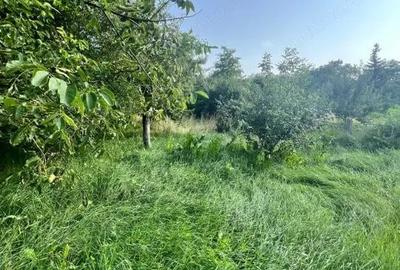 Casă cu 3 camere cu Teren 800 Mp în Siret - 4