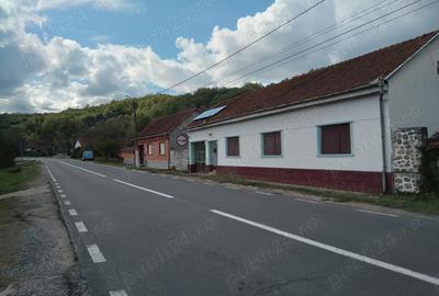 Casă cu 3 camere cu Teren 3000 Mp în Fârliug - 2