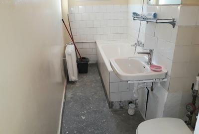 Colentina, Doamna Ghica, Parc Plumbuita, semistradal, ocazie, investitie - 10