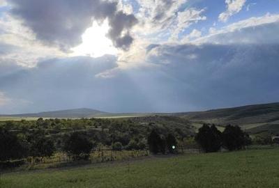 Teren de 5500 mp, în Somova - 3