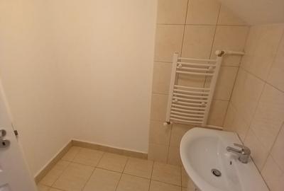 CASA CU TEREN GENEROS IN GRUIU - 22
