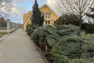 Casă cu 4 camere în Sânmartin - 15