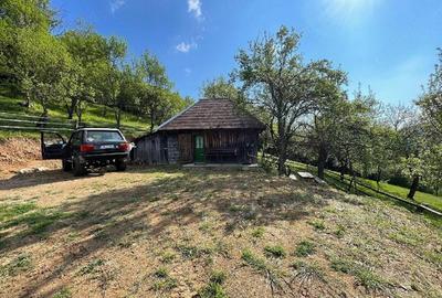 Casă cu Teren 15000 Mp în Bătrâna - 8