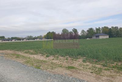 Teren în Măgurele - 12