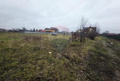 Teren 519mp Dumbrava Rosie / Strada CRANGULUI - 3