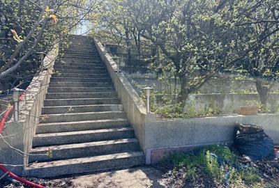 Casă individuală cu 10 camere cu Piscina în Roșu - 19