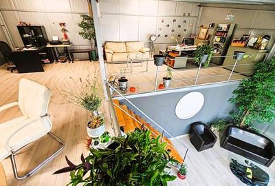 Spațiu birouri + depozitare în Jilava – ideal firmă, magazin on-line - 2