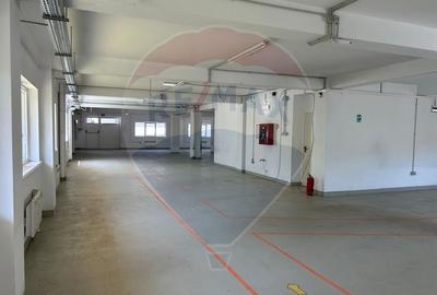 Spatiu comercial de inchiriat in zona Cetate - 4