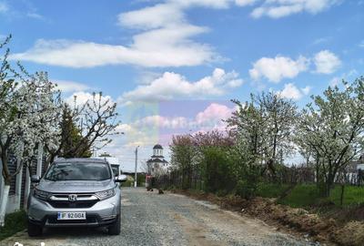 Teren de 1700 mp, în Cernica - 14