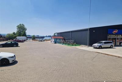 Moldova Noua, Teren Drept Intravilan 1628 Mp., pe malul Dunarii, Vanzare sau Inchiriere - 6