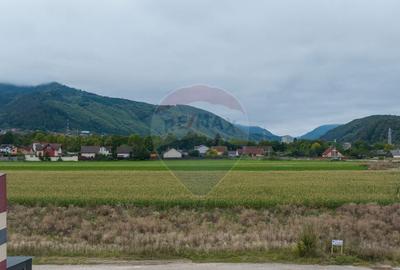 Loturi de casa intrare Sacele 440 mp, un lot cu AC Loturi de casa intrare Sacele 440 mp, un lot cu AC - 3