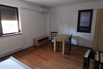 Apartament cu o camera Bucinescu Tudor - 3
