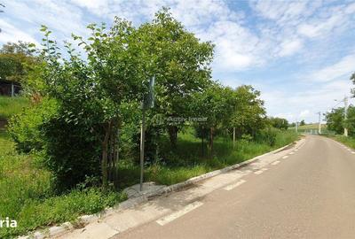 Teren de 2400 mp, în Central