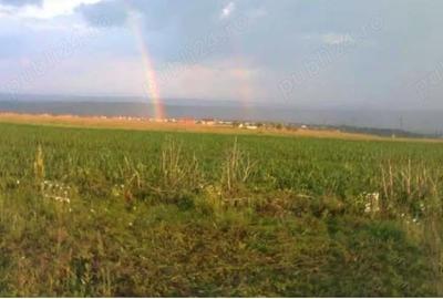 Teren în Valea Lupului - 1