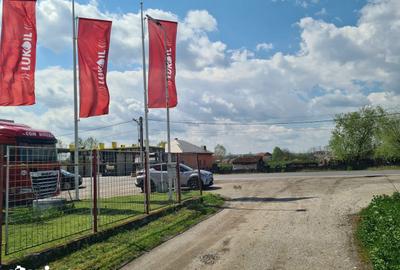 Teren de 5656 mp, în Mihăești - 2