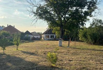 Casă cu 3 camere cu Teren 38 Mp în Sânlazăr - 2
