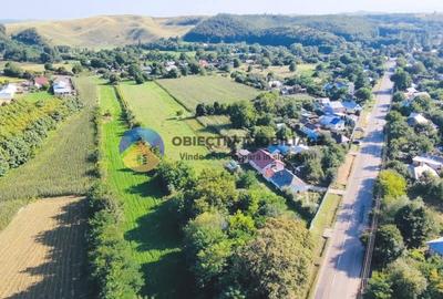 TEREN intravilan  6764 mp DRAGOMIRESTI - VAD - 4