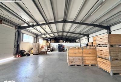 Spațiu comercial, de 10,000 mp, în Horia - 3