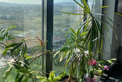 Apartament cu 3 camere semidecomandat, mobilat în Borhanci - 9