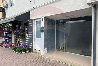 Spațiu comercial, de 47 mp, în Central - 3
