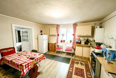 Casa de vanzare in Seini zona lini?tita, teren generos, livada ?i acces din doua strazi - 12