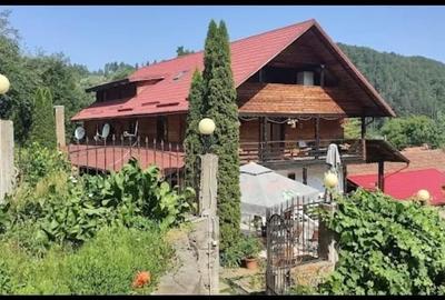 Hotel/Pensiune, de 20 mp, în Văliug - 1