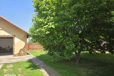 Casă cu 7 camere cu Teren 1230 Mp în Borș - 17