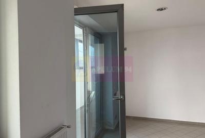 Proprietate specială, de 800 mp, în Theodor Pallady - 18