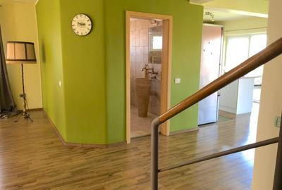 Apartament cu 4 camere semidecomandat, mobilat în Zorilor - 14