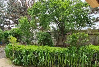 Casă cu 7 camere cu Piscina în Săftica - 12