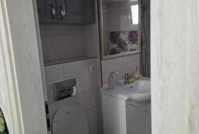 Apartament cu 3 camere decomandat în Nicolina - 8