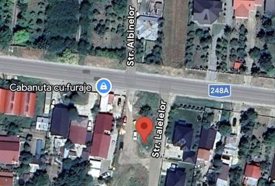 Casă cu 4 camere în Valea Ursului - 3