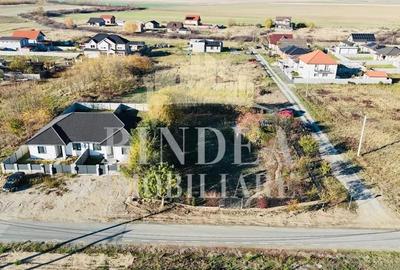 Teren intravilan imprejmuit, vegetatie matura 1200mp Sag Manastire - 3