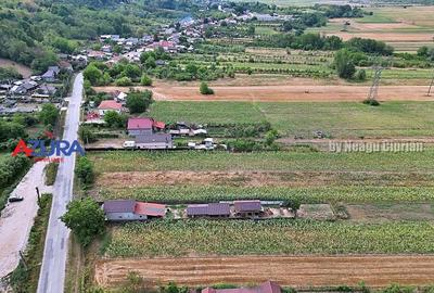 AZURA Imobiliare - Teren Budeasa Galasesti Calotesti - 11