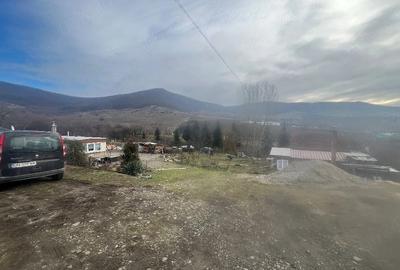 Casă cu 2 camere cu Teren 5800 Mp în Herina - 6