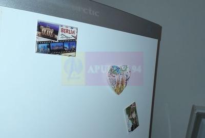 Movilita - vanzare casa 5 cam plus livada pe rod si teren 1800 mp - 16