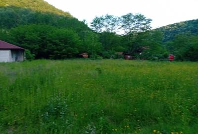 De vanzare casa pentru vacanta - 3