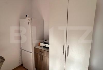 Apartament cu 2 camere semidecomandat, mobilat în Valea Rosie - 4