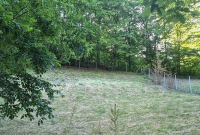 Ilba, casa caramida, 40 ari teren - 3