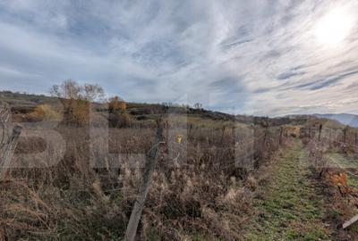 Teren pretabil pentru cabana, cu view - 1