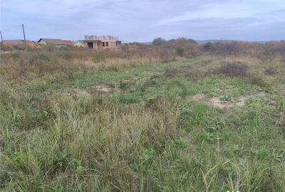 Teren în Oșorhei - 3