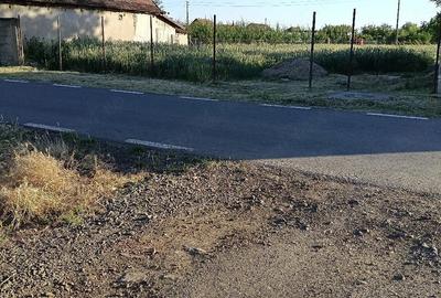 Casă cu 3 camere cu Teren 1400 Mp în Dorobanți - 5