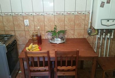 Casă individuală cu 4 camere cu Canalizare în Broșteni - 2