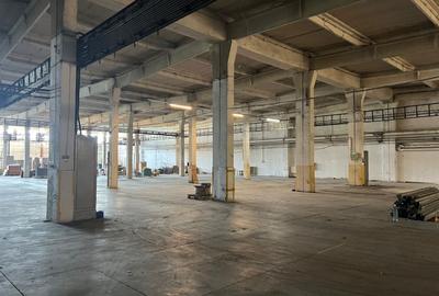 Spațiu industrial, de 3,600 mp, în Nord - 4