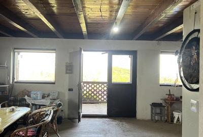 Casă cu 2 camere cu Teren 7500 Mp în Sulighete - 6
