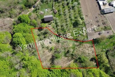 Teren de 1267 mp, în Băiculești - 2