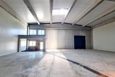 Spatiu industrial de inchiriat, 523 mp, Timisoara exterior NORD - 2